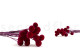 Craspedia préservé - Bouquet - Raspberry 8