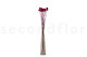 Billy Buttons Preserved - Bouquet - Raspberry 3