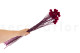Craspedia preservata - Mazzo - Raspberry 6