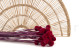 Billy Buttons Preserved - Bouquet - Raspberry 2