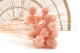 Billy Buttons Preserved - Bouquet - Pink Flamingo 2