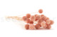 Craspedia préservé - Bouquet - Pink Flamingo 6