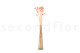 Craspedia préservé - Bouquet - Pink Flamingo 3
