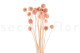 Craspedia préservé - Bouquet - Pink Flamingo 9