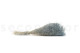 Mini Gipsofila Preservada - Storm Blue 6