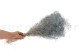 Mini Gipsofila Preservada - Storm Blue 4