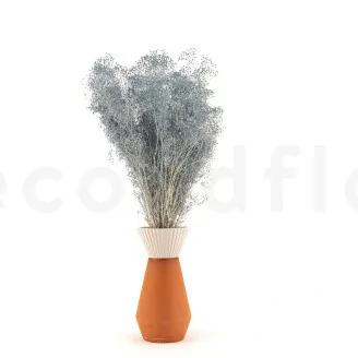 Preserved Mini Gypsophila Storm Blue