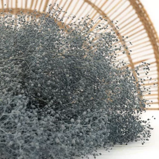 Preserved Mini Gypsophila Storm Blue