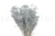 Mini Gypsophila Stabilized - Storm Blue 8