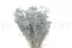 Preserved Mini Gypsophila Storm Blue 8