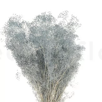Preserved Mini Gypsophila Storm Blue