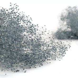 Preserved Mini Gypsophila Storm Blue