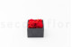 Fleurs rouges stabilisées dans une boîte carrée - Medium 4