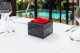 Preserved red flowers in a square box - Medium 1