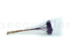 Scabiosa stellata stabilized - 10 stems - Violet 11