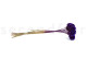 Scabiosa stellata stabilized - 10 stems - Violet 6