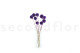 Scabiosa stellata stabilized - 10 stems - Violet 5