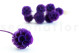 Scabiosa stellata stabilized - 10 stems - Violet 9