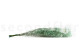 Gypsophile Stabilisé - Pastel Turquoise 8