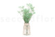 Gypsophile Stabilisé - Pastel Turquoise 3