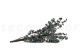 Baby-Blue Eucalyptus Stabilized - Green 8