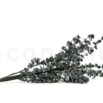 Eucalipto Baby-blue stabilizzato Verde Grigio