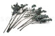 Eukalyptus Baby-blue Stabilisiert - Grün 3