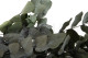 Eucalyptus Cinerea Stabilized - Green 6