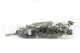Eucalyptus Cinerea Stabilized - Green 15