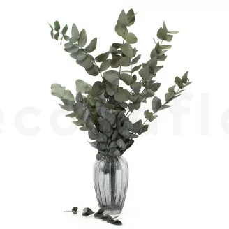 Preserved Cinerea Eucalyptus Green
