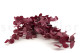 Eucalyptus Stuartiana Stabilized - Raspberry 6