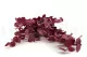 Preserved Stuartiana Eucalyptus Raspberry 5