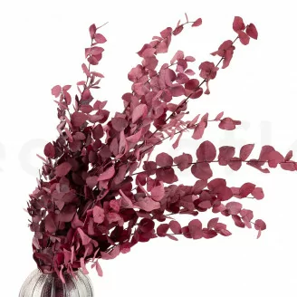 Eucalyptus Stuartiana stabilis&eacute; Rose