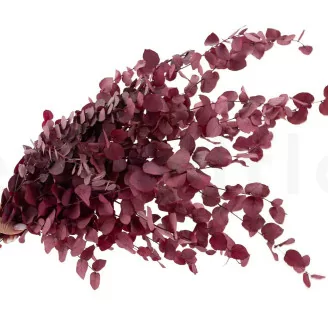 Eucalyptus Stuartiana stabilis&eacute; Rose