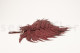 Leather Fern Stabilized - Red 5