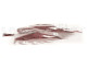 Leather Fern Stabilized - Red 8