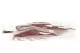 Preserved Leather Fern Red 8