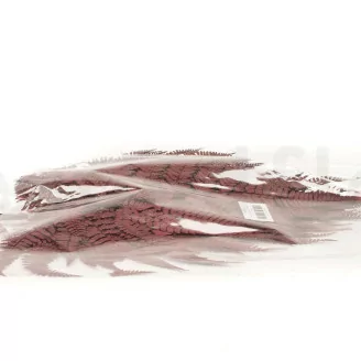Preserved Leather Fern Red