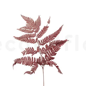 Preserved Leather Fern Red