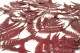 Helecho de cuero Preservado - Rojo 4