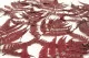 Preserved Leather Fern Red 4