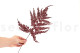 Leather Fern Stabilized - Red 3