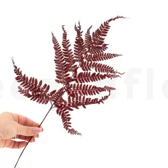 Preserved Leather Fern Red