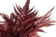 Leather Fern Stabilized - Red 6