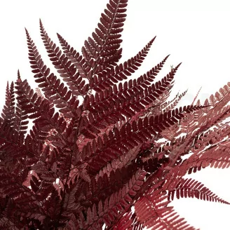 Preserved Leather Fern Red