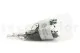 Pittosporum stabilizzato 10