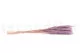 Getrocknete Mini-Pampa Lavender Lane (x20) 3