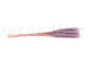 Mini-pampa getrocknet - 20 Stück - Lavender Lane 3
