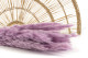 Mini-pampa getrocknet - 20 Stück - Lavender Lane 2