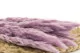 Dried Mini Pampa Lavender Lane (x20) 6